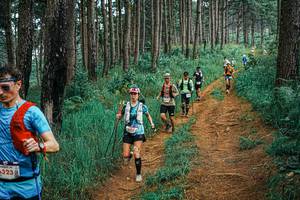 BIB: 
                            <button type="button" onclick="openModal(25658416)" class="btn btn-primary btn-sm float-right btn-popup" data-toggle="modal" data-target=".modal-high-quality">
                        <i class="fas fa-shopping-cart"></i> Add to Cart
                    </button>
                                            <button type="button" onclick="isThisMe(25658416, true)" class="btn btn-success btn-sm float-right btn-popup btn-isme hidden" data-toggle="tooltip" data-placement="bottom" title="นี่คือรูปของคุณใช่ไหม คลิกที่นี่เพื่อเอาเข้าอัลบั้ม">
                        <i class="fas fa-plus"></i> Add to album
                    </button>
                    <button type="button" onclick="isThisMe(25658416, false)" class="btn btn-warning btn-sm float-right btn-popup btn-isnotme hidden">
                        <i class="fas fa-ban"></i> Remove from album
                    </button>